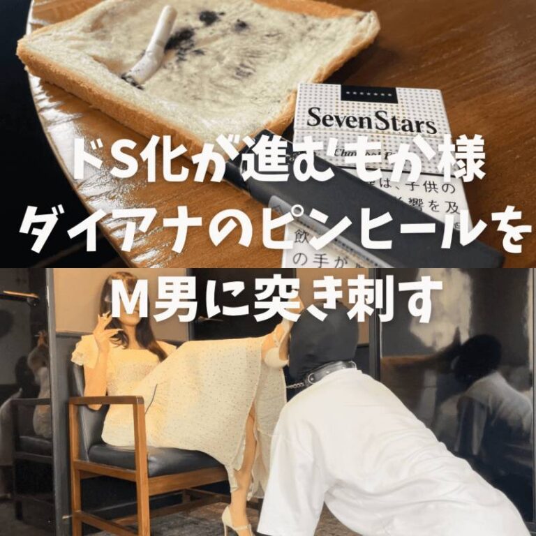 サンプル画像 9