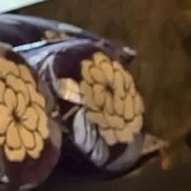 [LAXD-PPV-34TYPty7zrqRqKNKwS279dV]恥ずかしがり屋の美少●が大胆に変貌して快感を堪能する大人の冒険