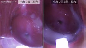 [LAXD-PPV-TPRdXhtCz4D0LcNncQT2vpW]指先で探る官能の迷宮実録